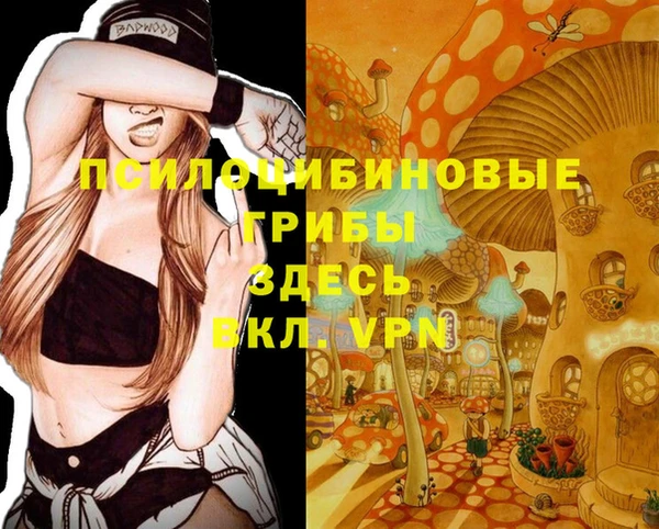 шишки Балабаново