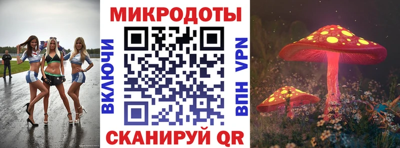 кракен маркетплейс  Тарко-Сале  Псилоцибиновые грибы GOLDEN TEACHER  купить закладку 